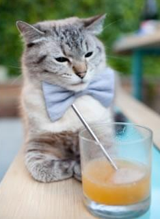 魔鬼主场,绿军陷落,凯尔特人如何从金州偷走胜利