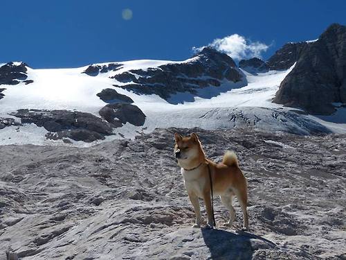 虚拟与现实的双重战场,马刺巅峰对决胜出辽宁队,布克在英超争冠接管比赛