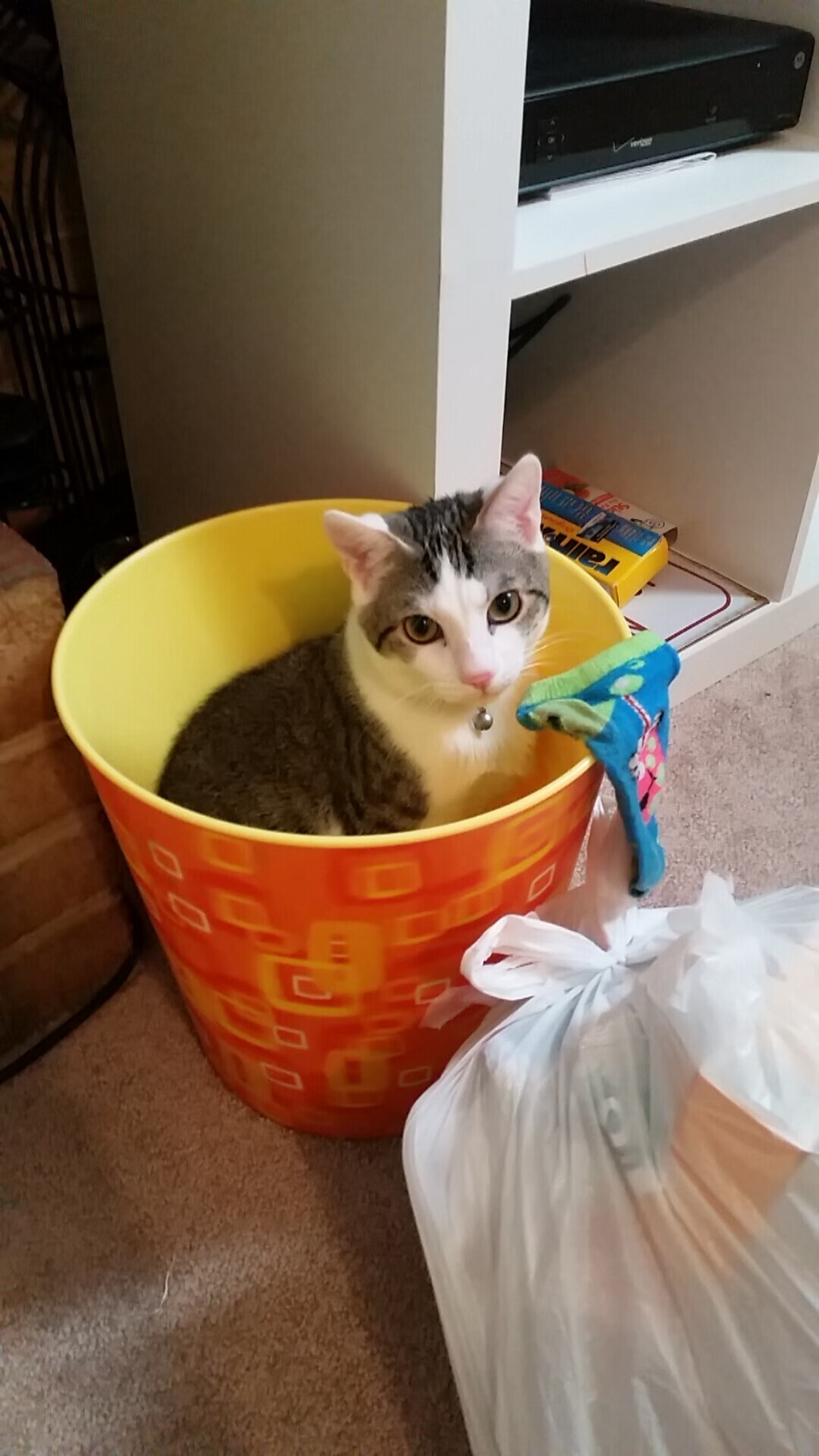 九游体育官方入口-绝杀巴黎，一场被莫德里奇幽灵盘踞的胜利