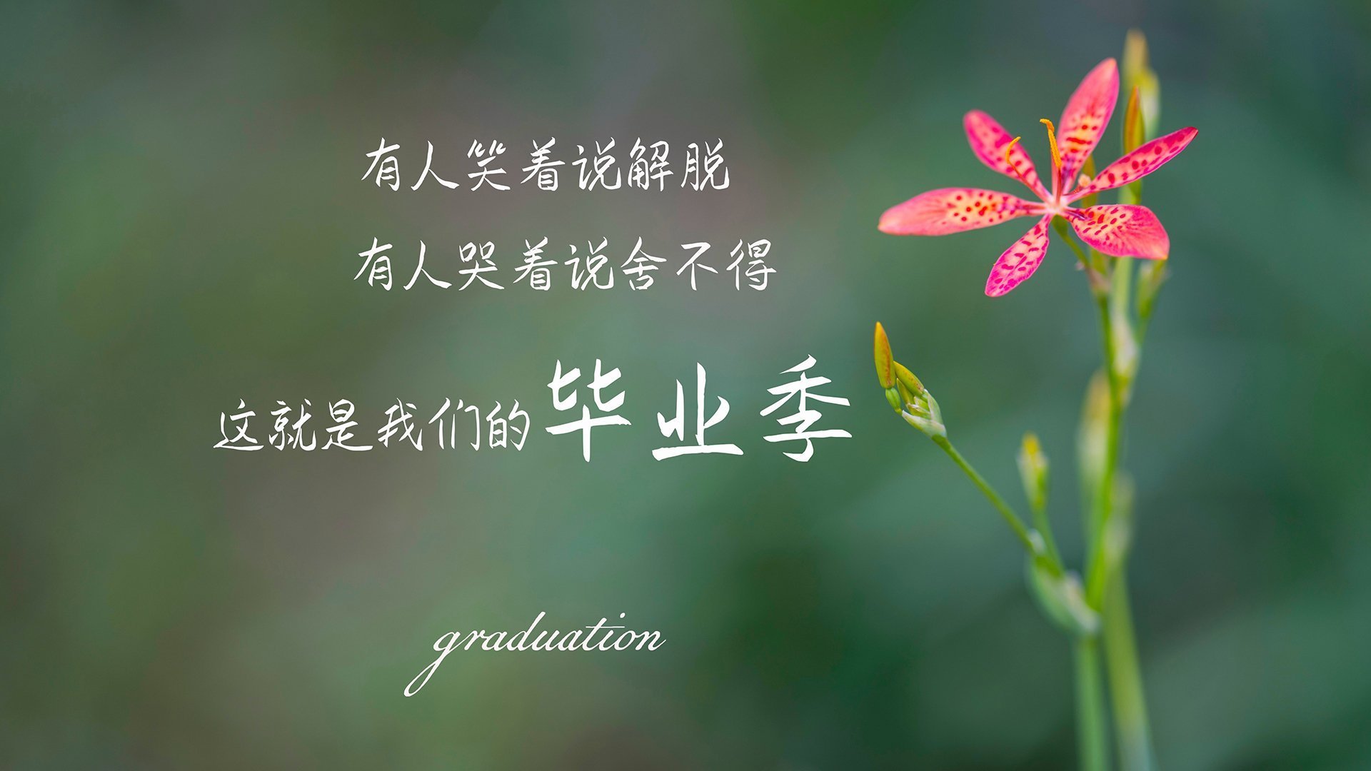 悬崖上的舞蹈，当东决胜负手遇见皇马淘汰赛的艺术